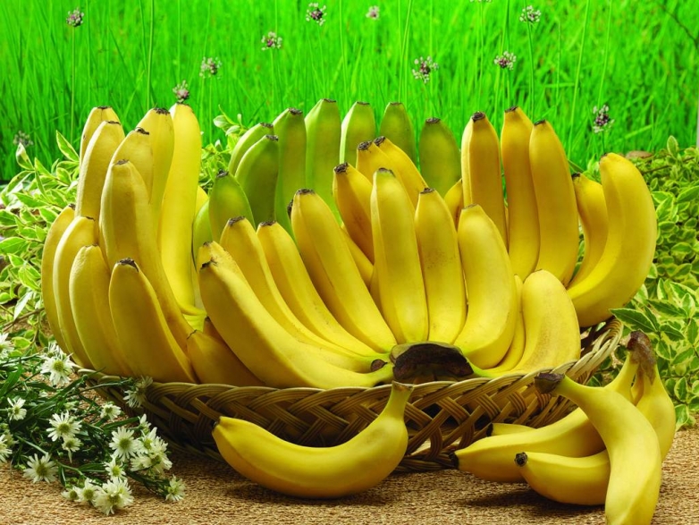 Несколько любопытных фактов о бананах